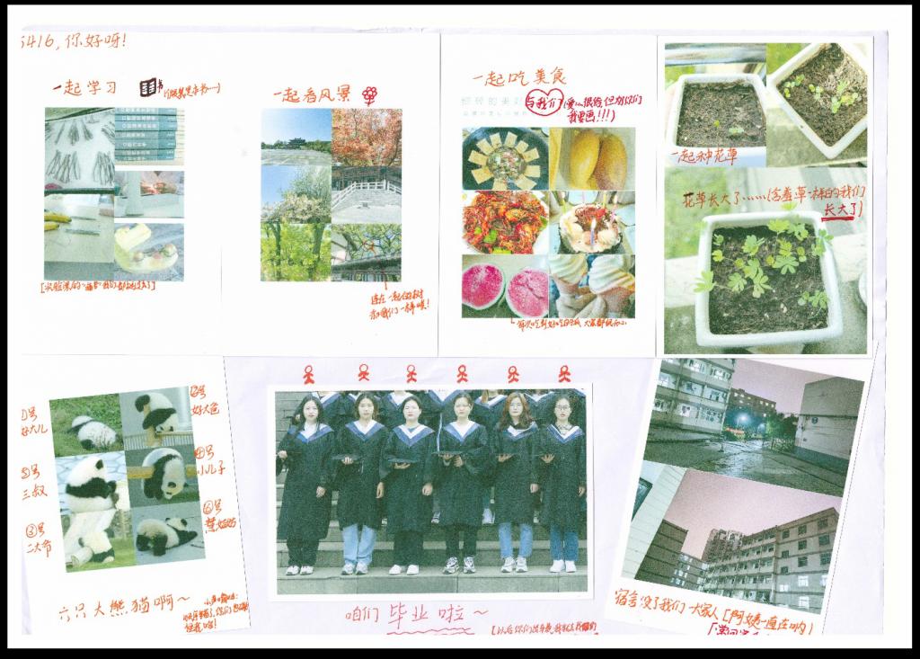 千赢国际qyh